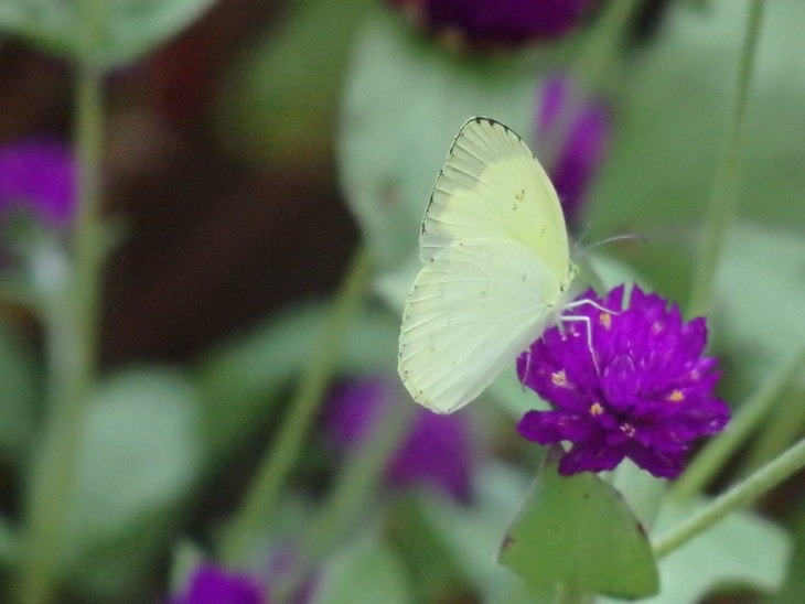a0054240_2243596.jpg