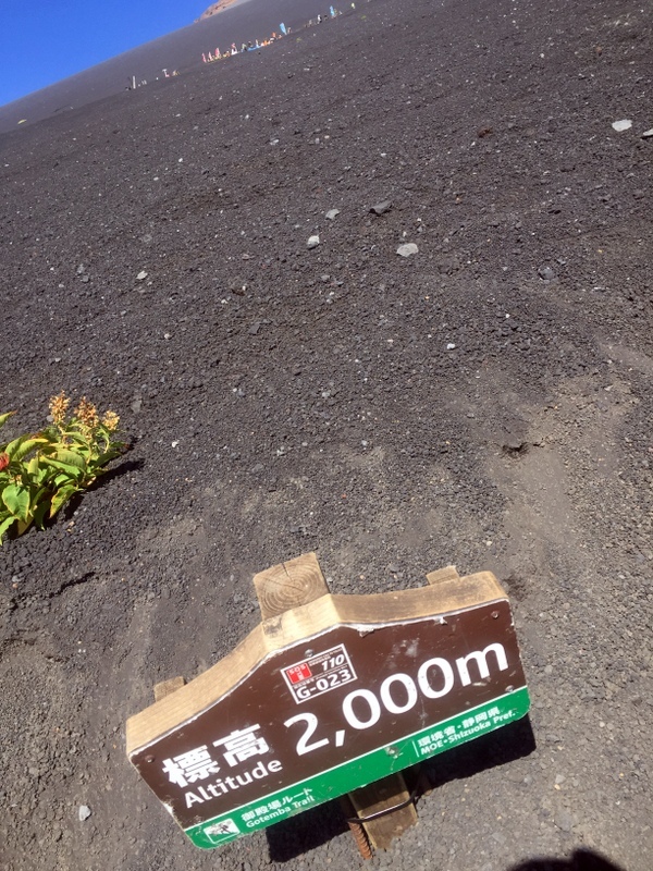 b0057140_00211266.jpg