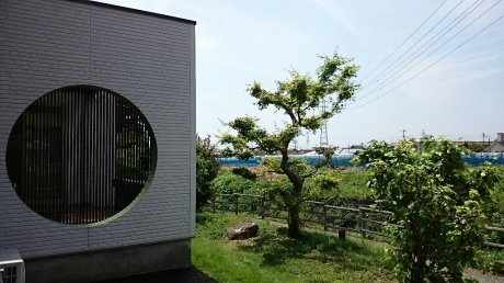 e0150849_16304113.jpg