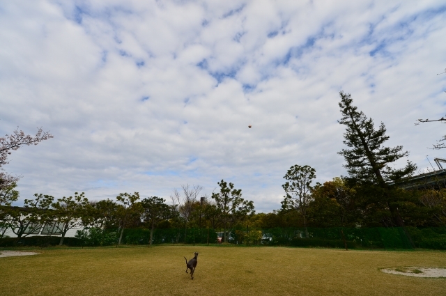 a0328052_11231374.jpg