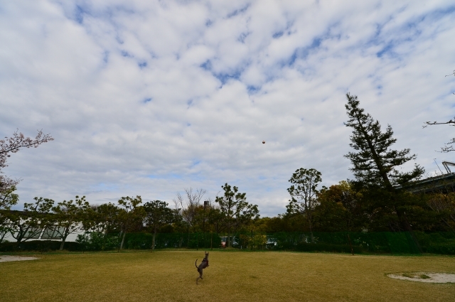 a0328052_11231376.jpg