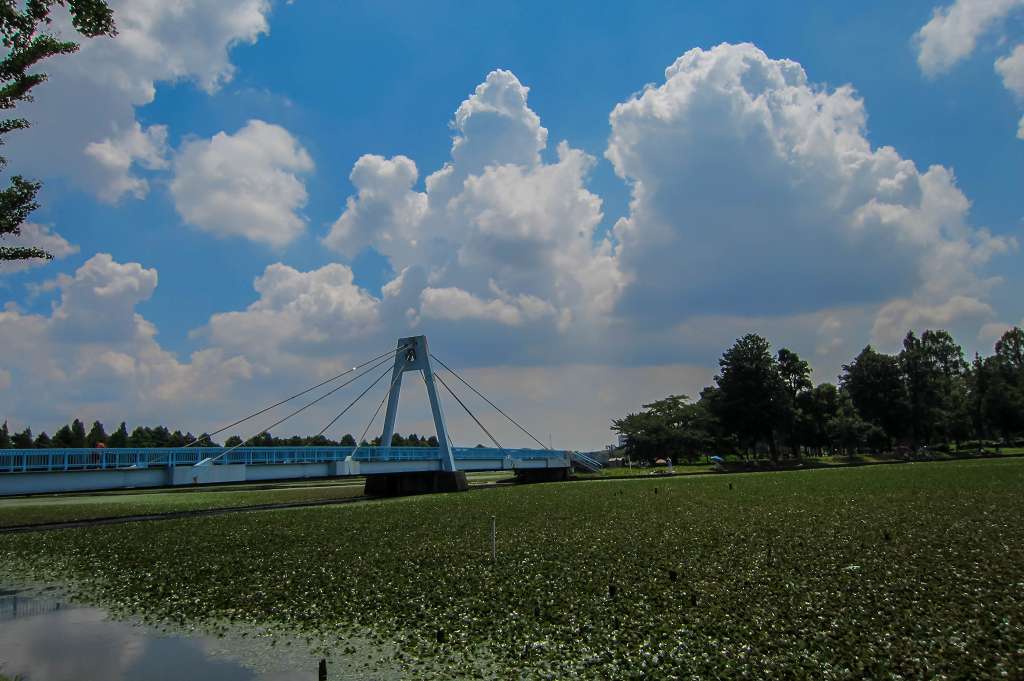 f0044056_07172523.jpg