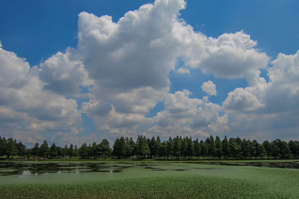 f0044056_07190070.jpg