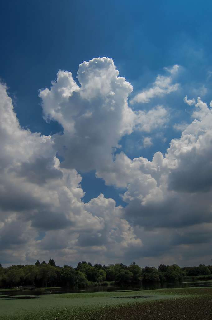 f0044056_07192526.jpg