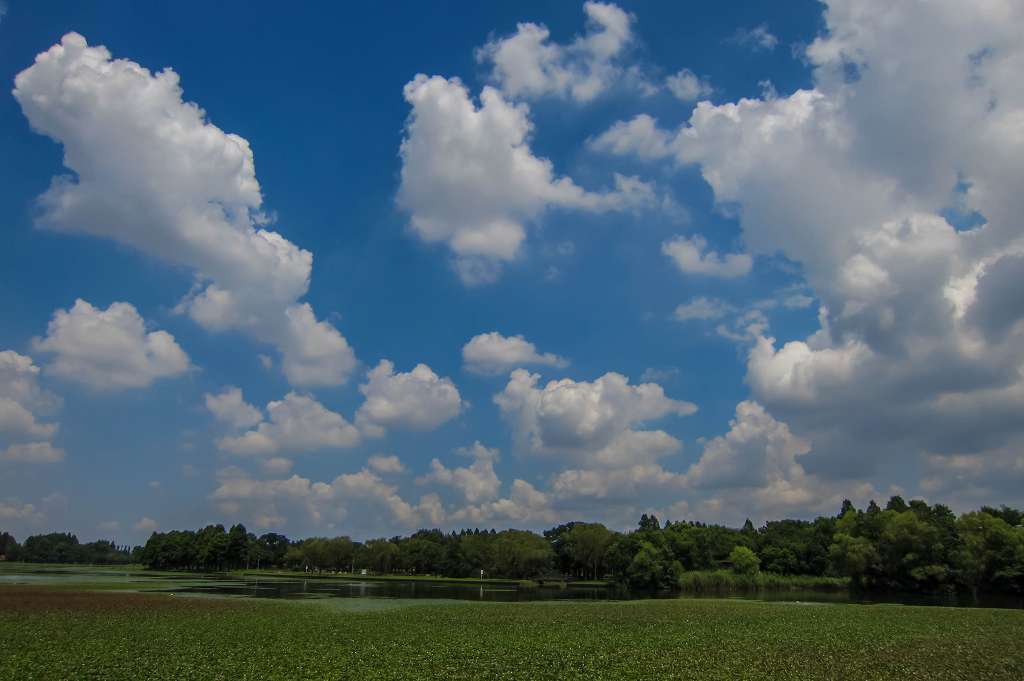 f0044056_07194401.jpg