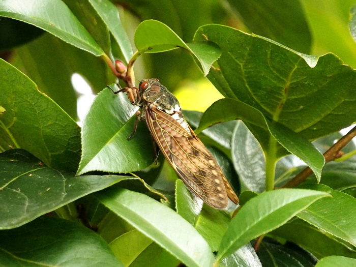 f0208666_2103189.jpg