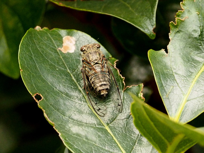 f0208666_2145036.jpg