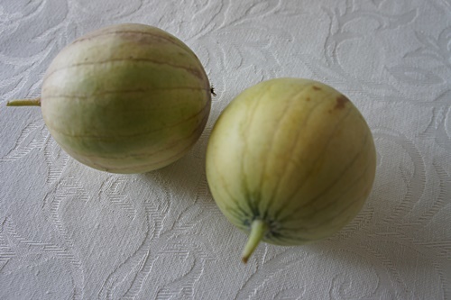 e0177271_07264812.jpg