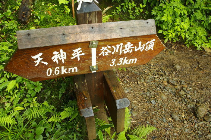 e0307372_16500867.jpg