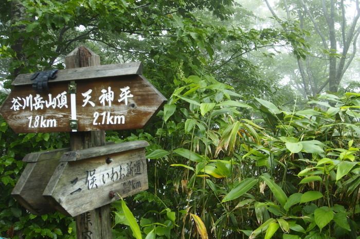 e0307372_17262649.jpg