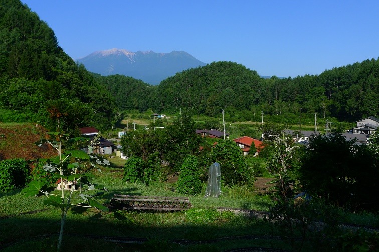 a0130586_8645.jpg