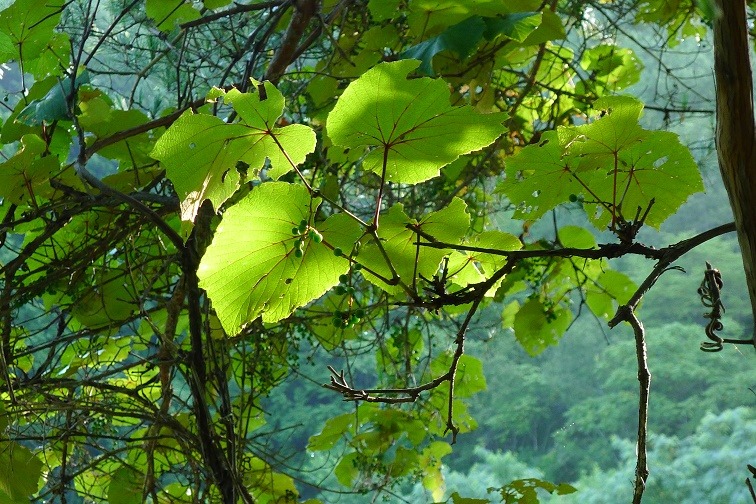 a0130586_873646.jpg