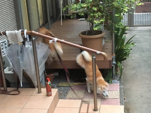 c0123890_206451.jpg