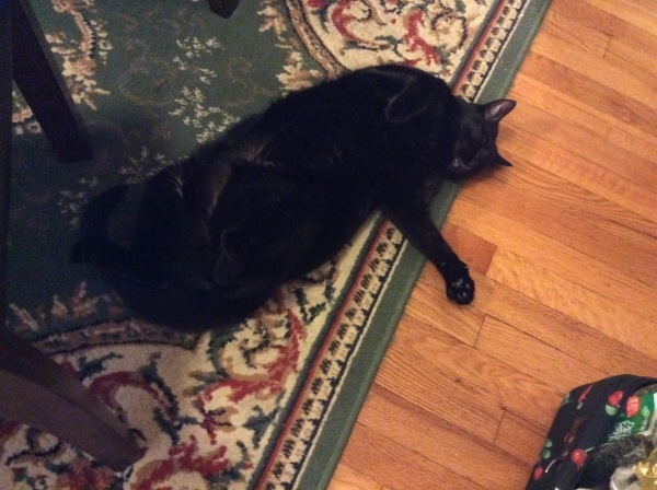 d0130296_20430761.jpeg