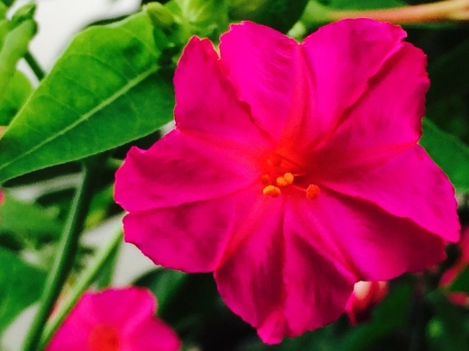 f0201297_10144271.jpg