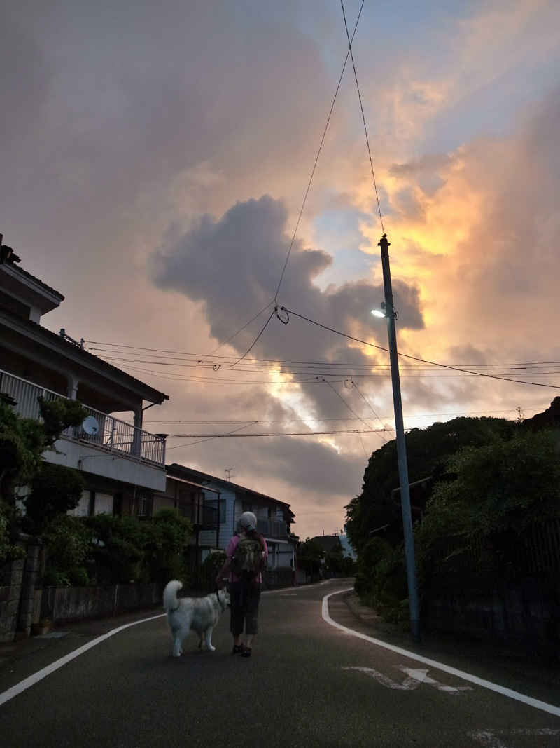 c0049299_21413887.jpg