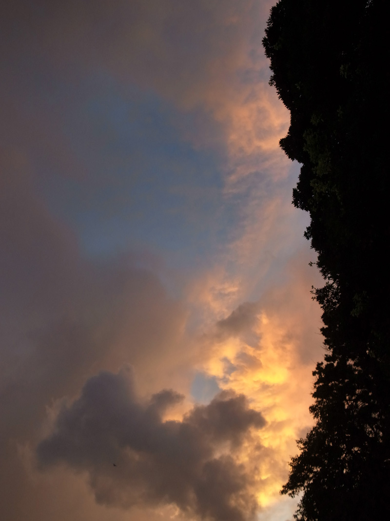 c0049299_21431713.jpg