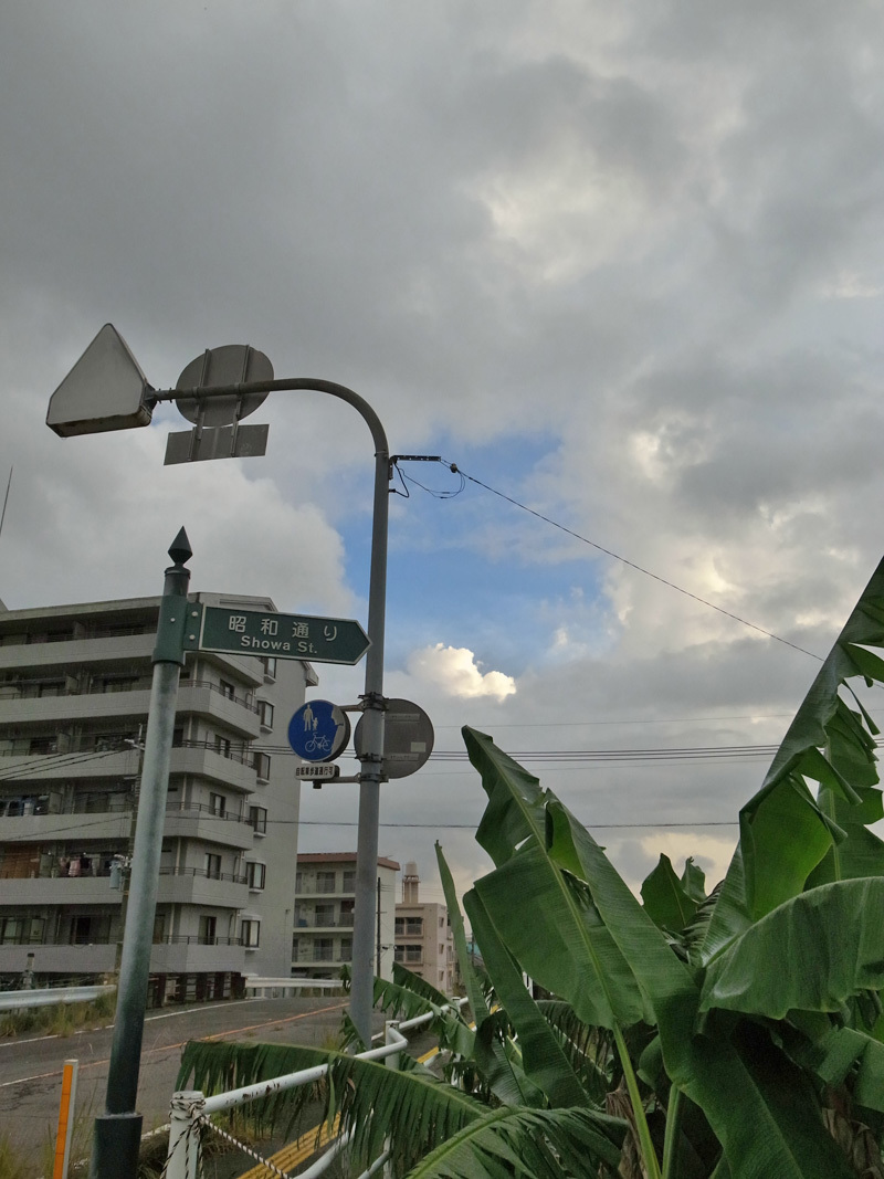 c0049299_21501436.jpg