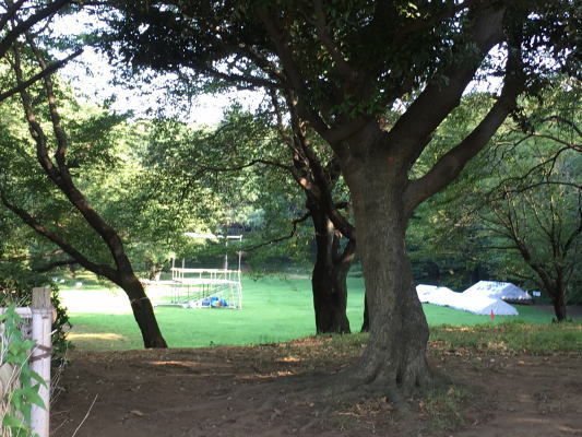 b0160300_2264380.jpg