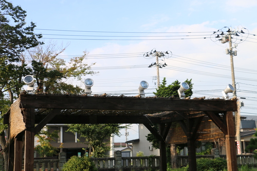 c0075701_2315457.jpg