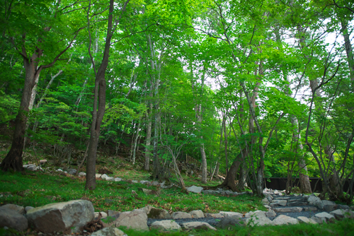 a0263109_10263283.jpg