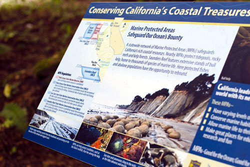 c0148812_814047.jpg