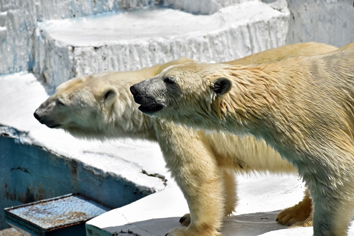 a0151913_2121529.jpg