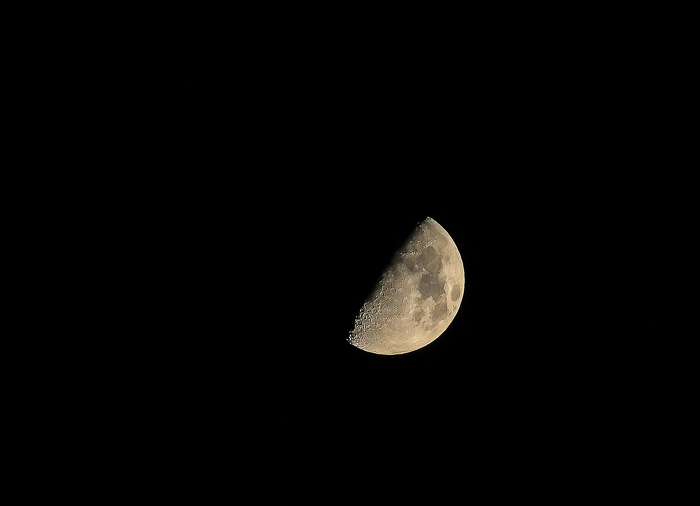 f0363618_22511787.jpg
