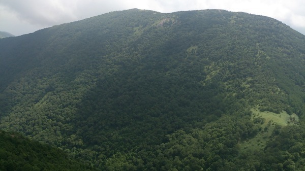 e0230329_18012061.jpg
