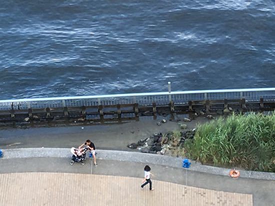 c0177332_16214071.jpg
