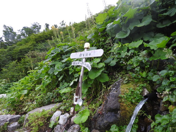 f0118332_10304507.jpg