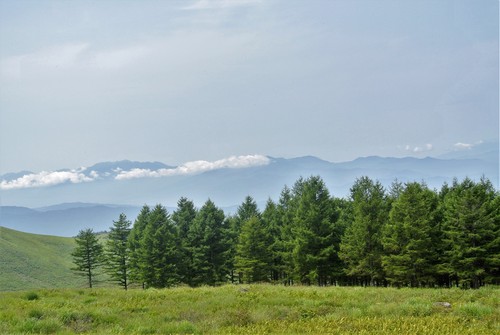 d0170835_11554820.jpg