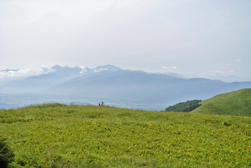 d0170835_115605.jpg