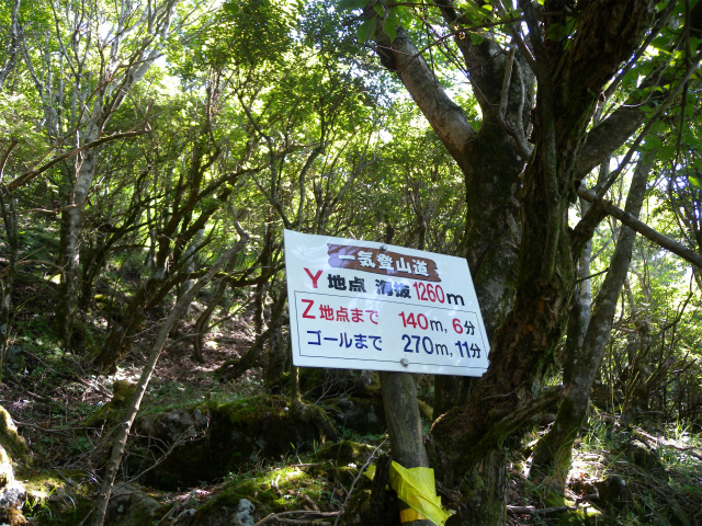 e0272335_1911289.jpg