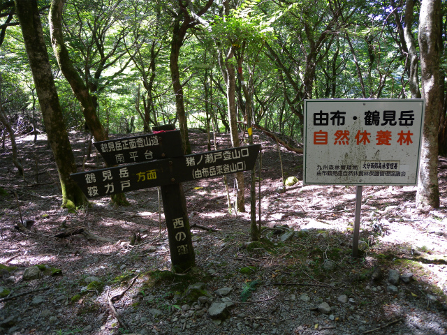 e0272335_1926810.jpg
