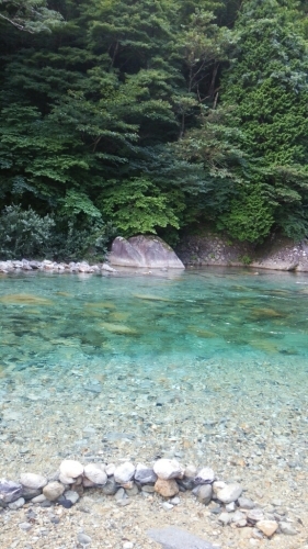 c0335540_08571198.jpg