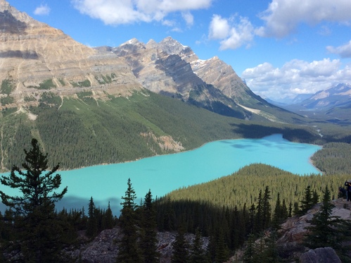 c0122744_15535047.jpg