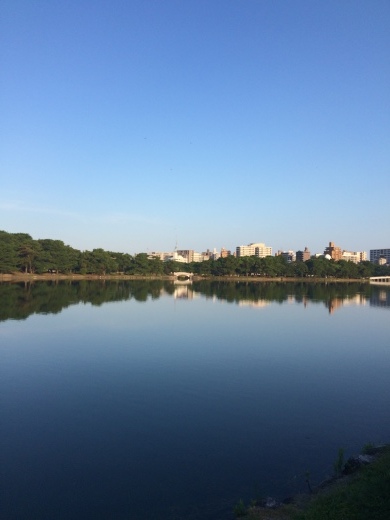 b0226748_10233630.jpeg