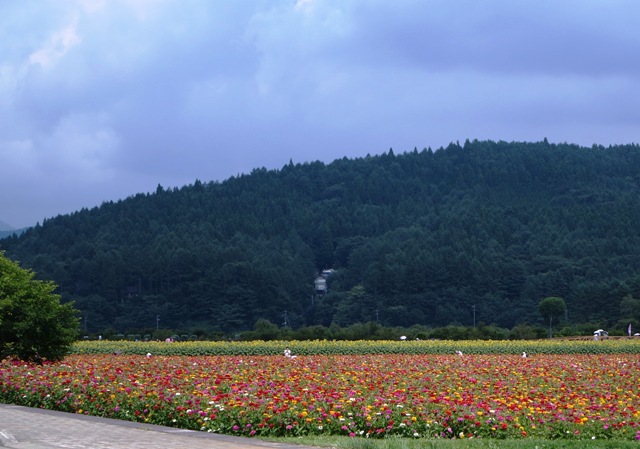 c0214259_1413277.jpg