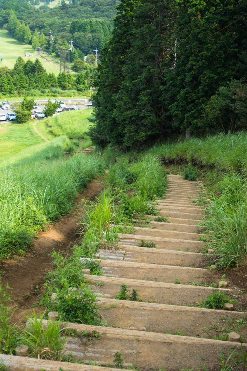 c0260264_13355970.jpg