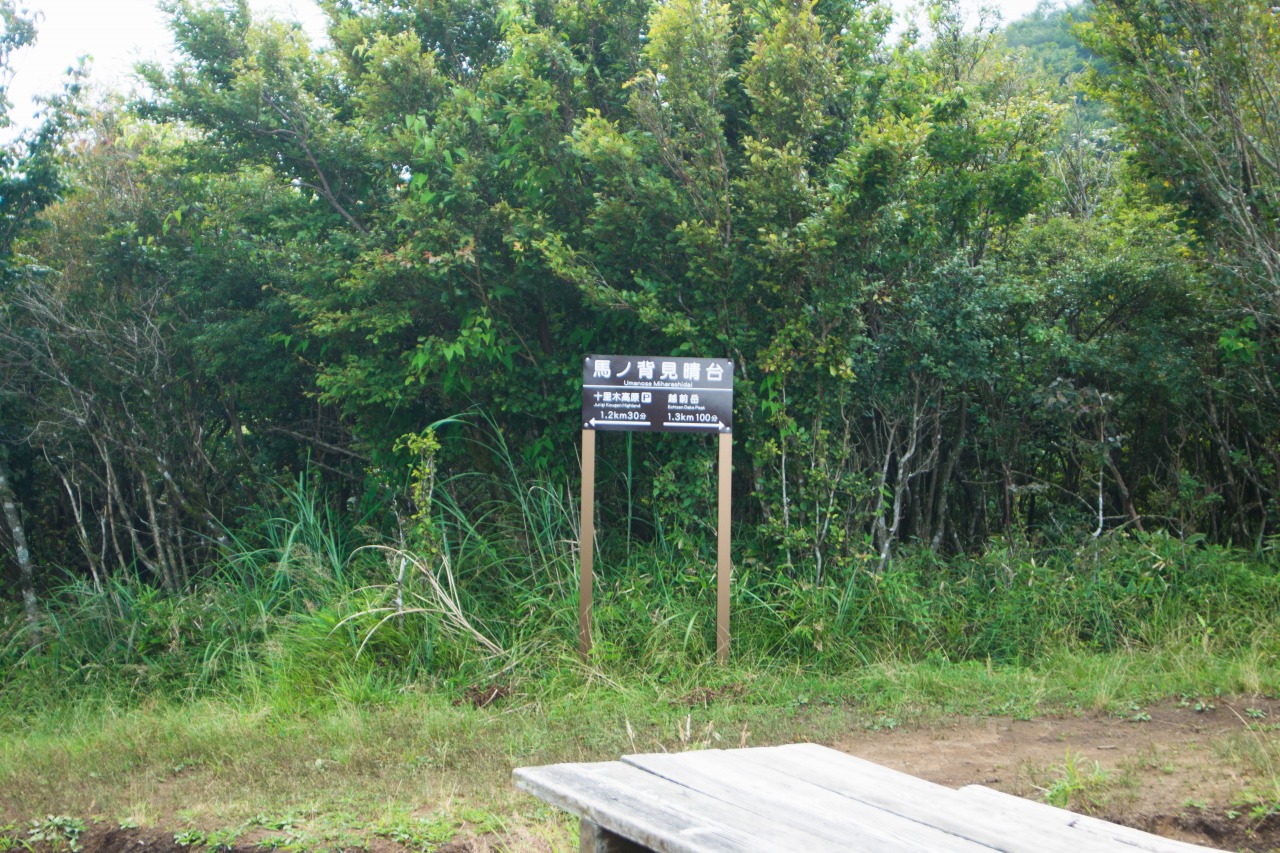 c0260264_1342572.jpg