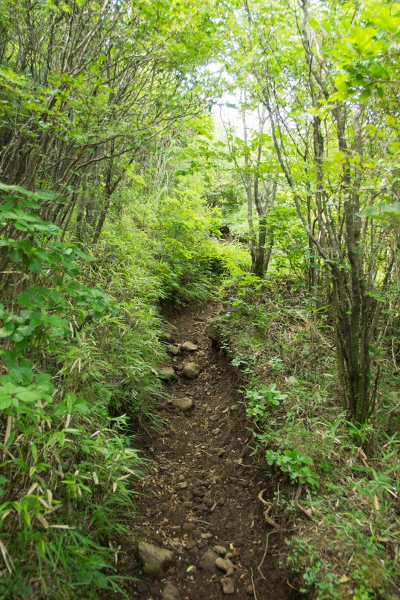 c0260264_13433319.jpg