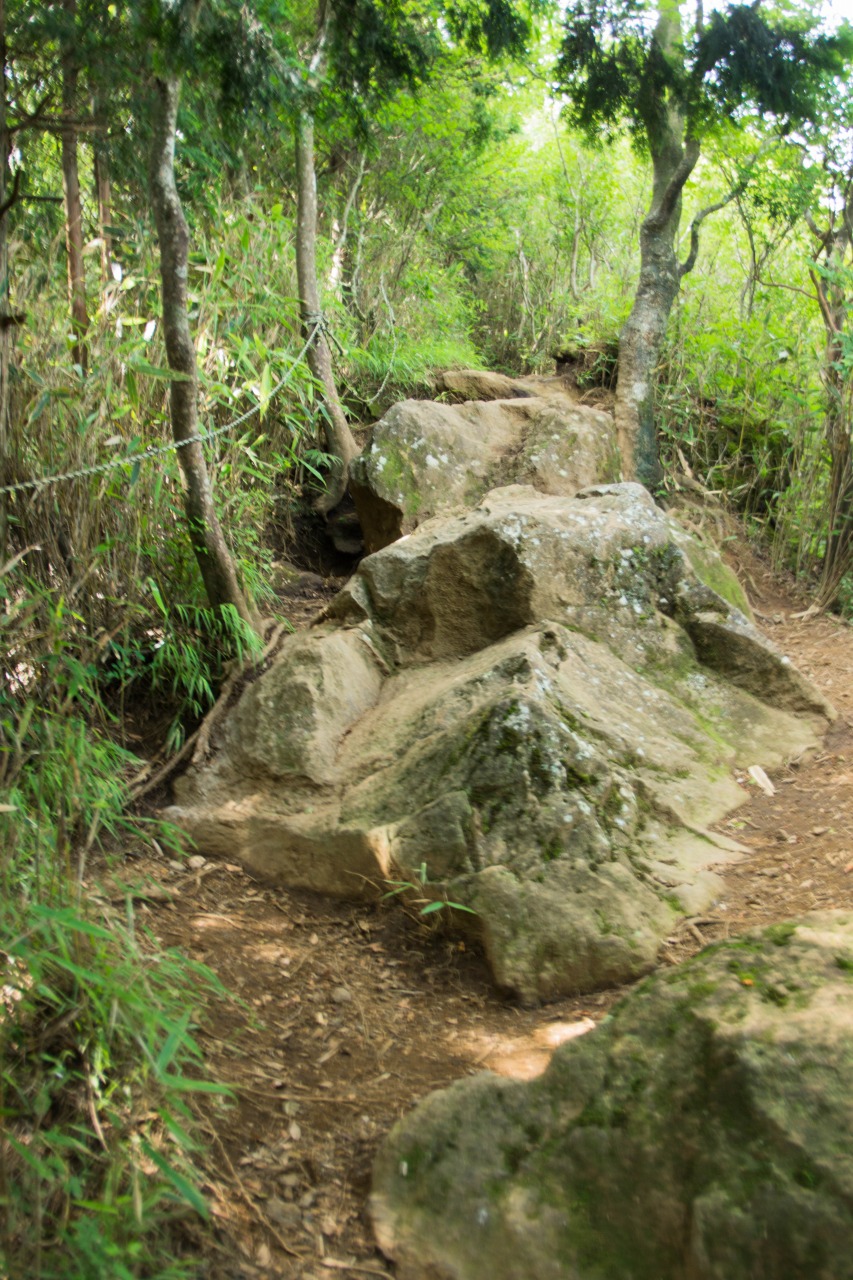 c0260264_1344164.jpg