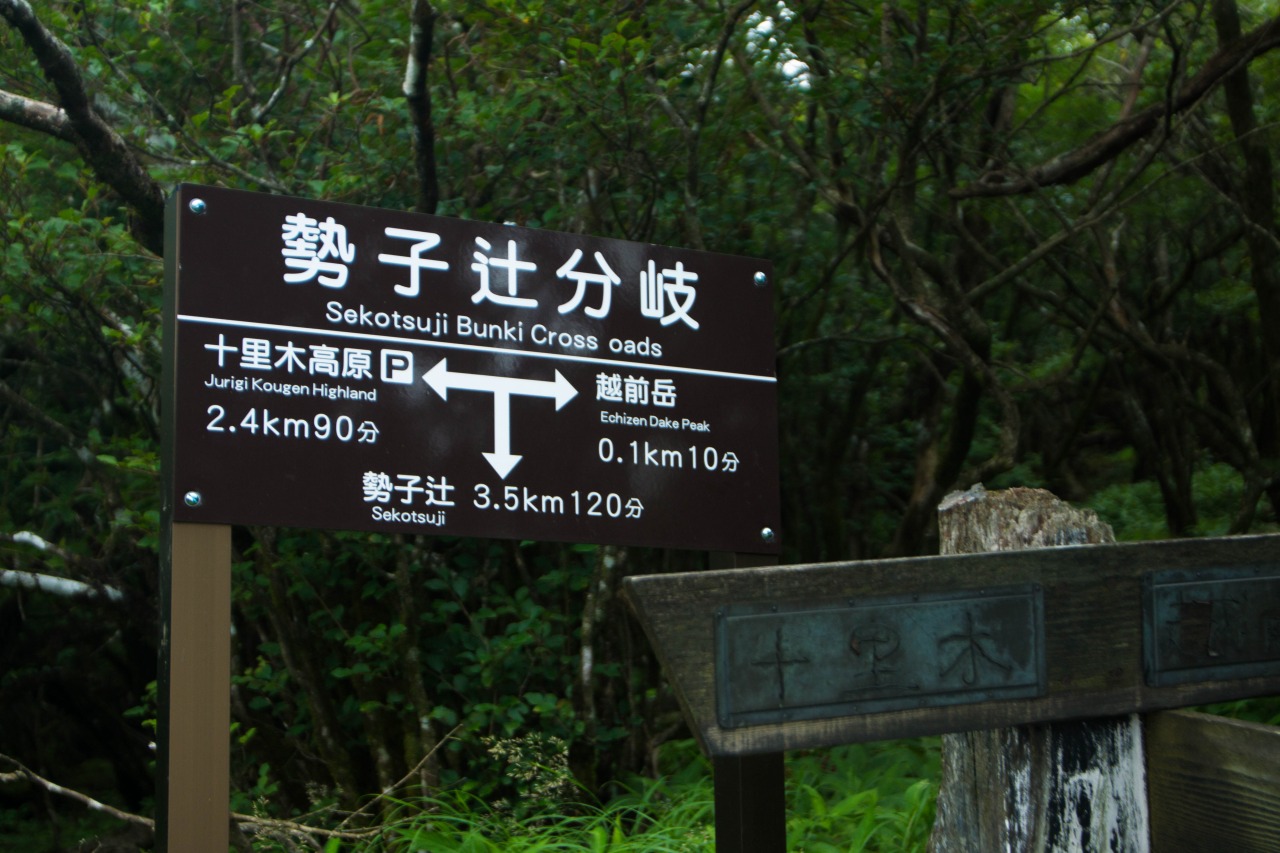 c0260264_13454834.jpg