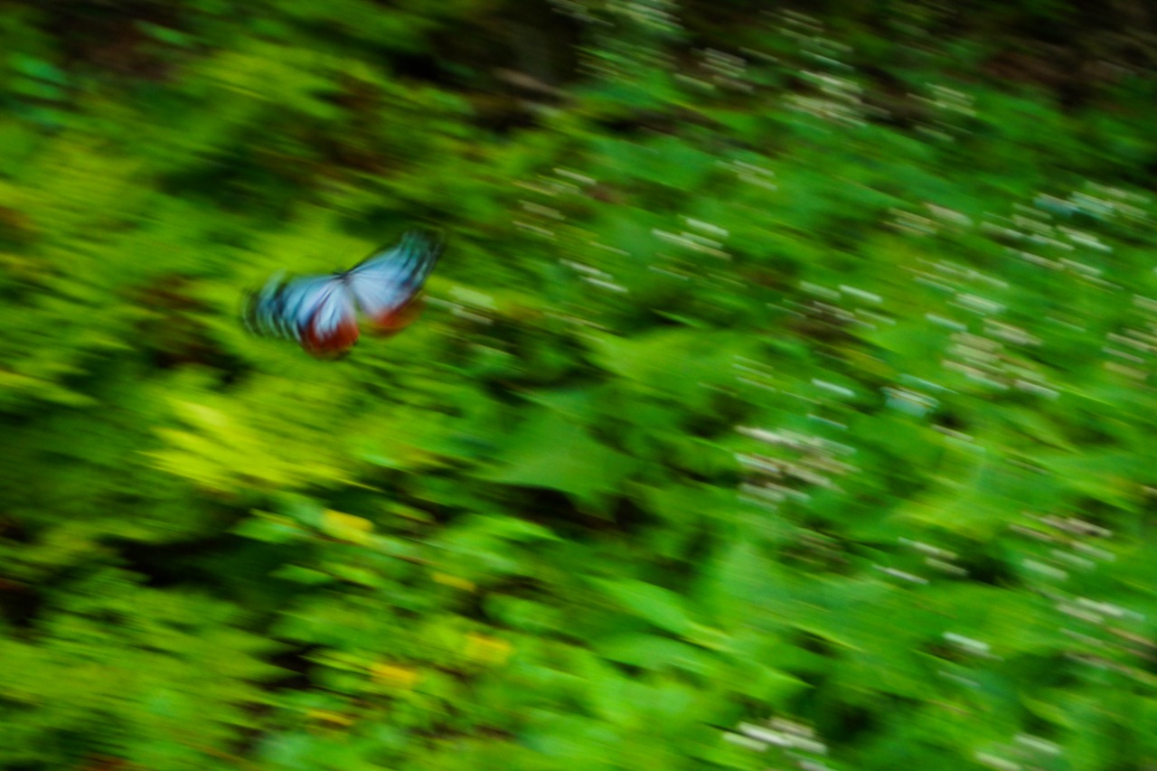 c0260264_13532016.jpg