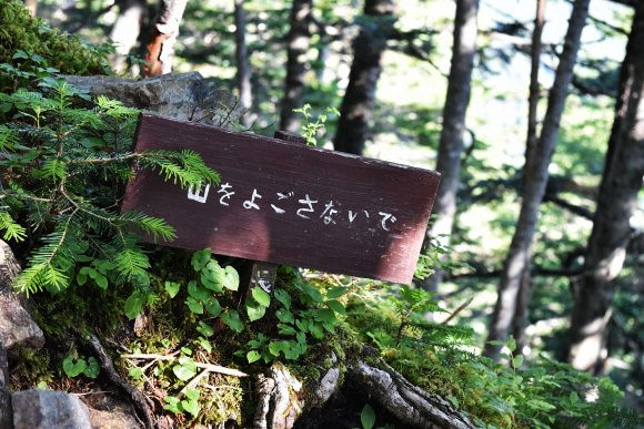 b0050067_10461694.jpg