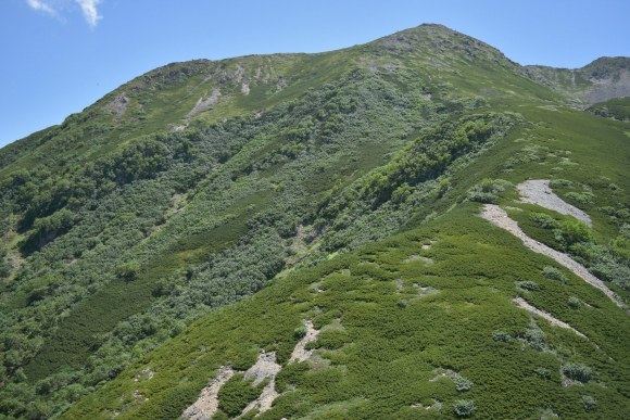 b0050067_11493475.jpg