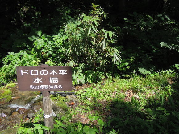 f0104169_21120109.jpg