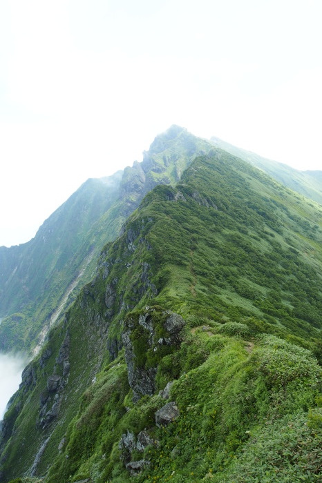 e0307372_18545662.jpg