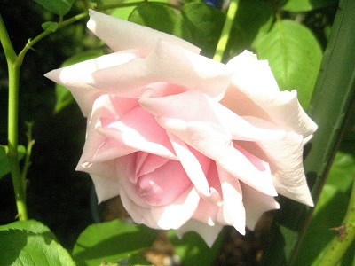 c0289473_14503050.jpg